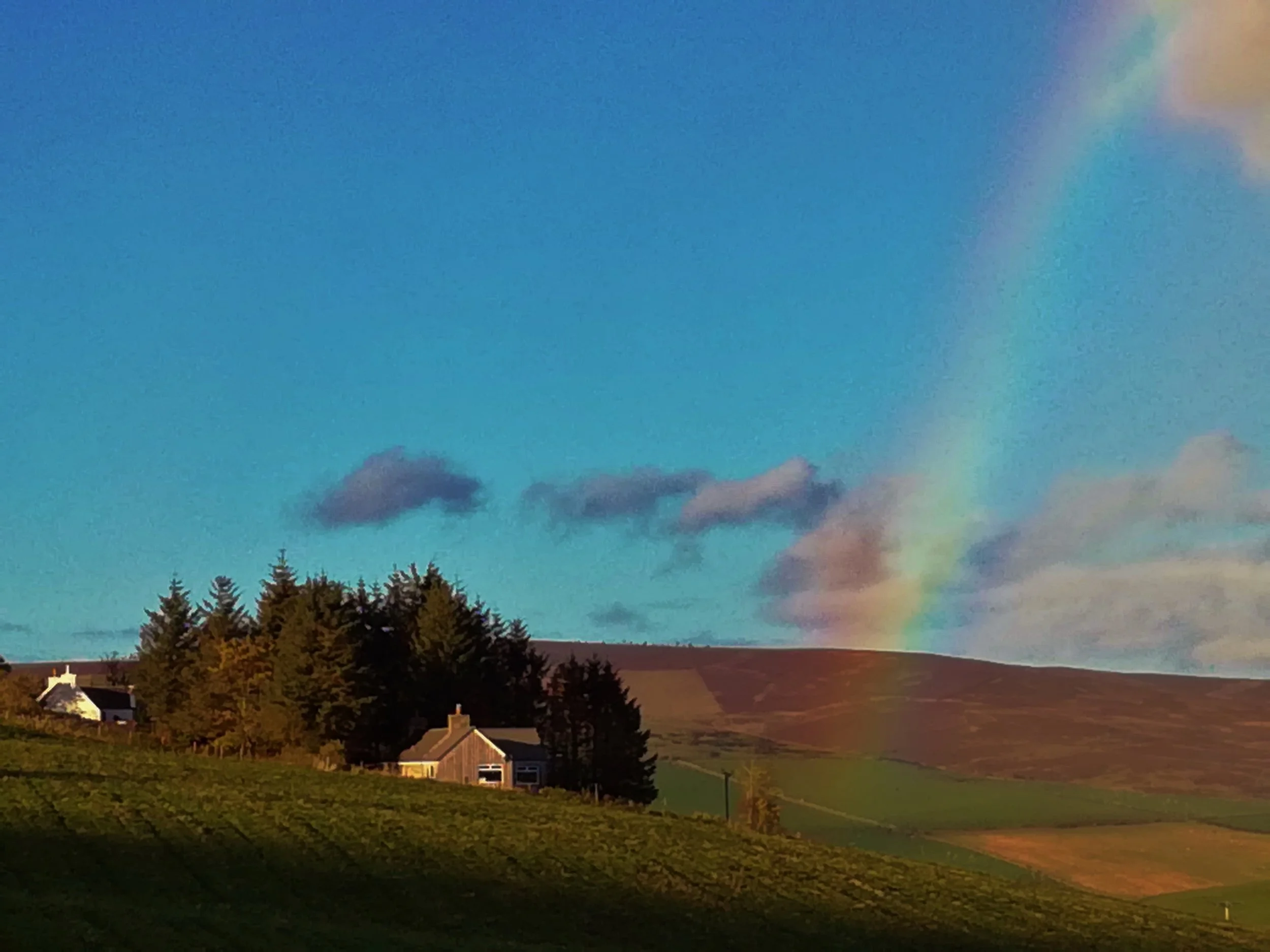 Glenlivet - Tour & Walk in small groups - Roaming Scotland..jpg