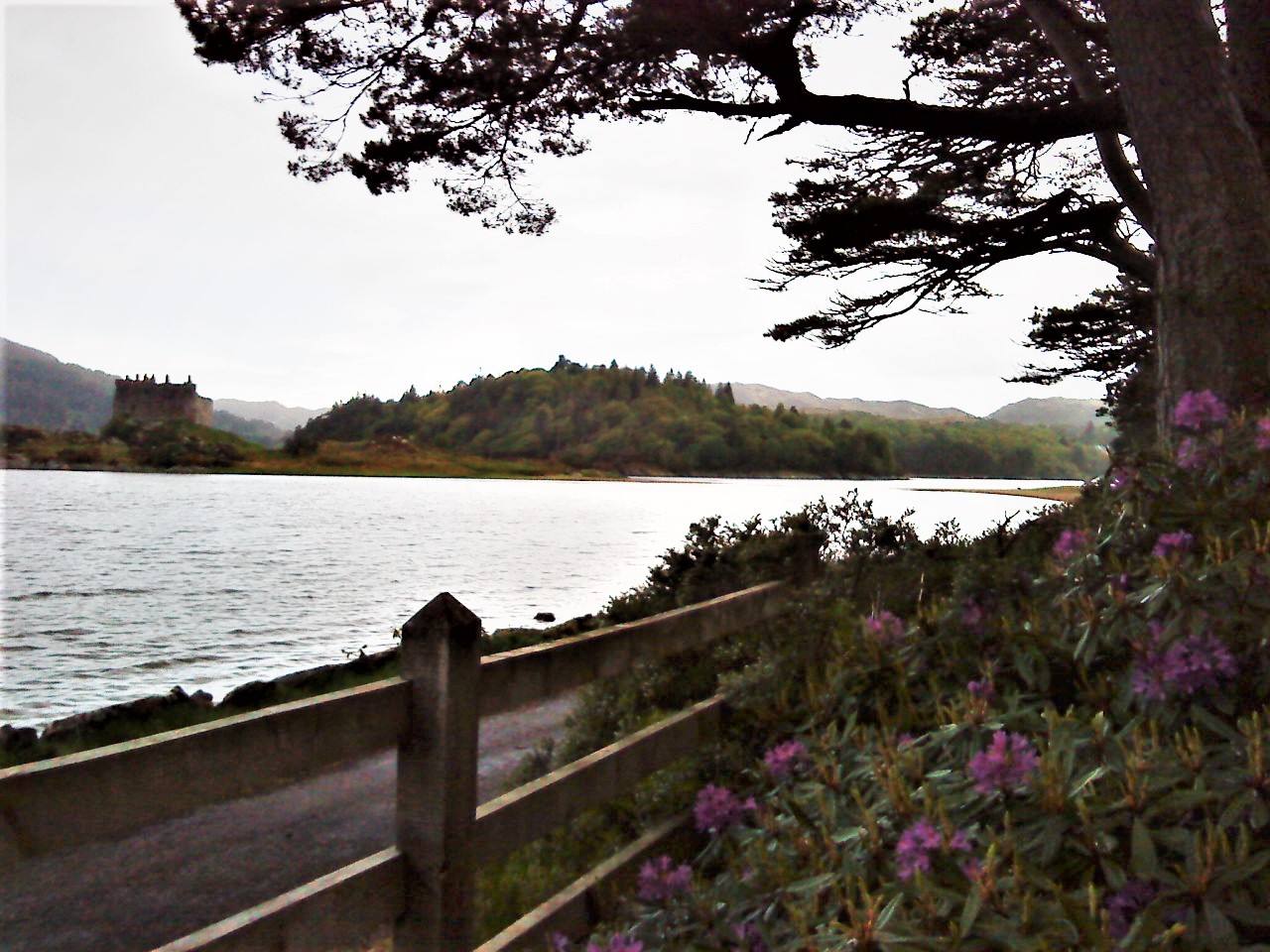 Castle Tioram - Tour & Walk in small groups - Roaming Scotland..jpg