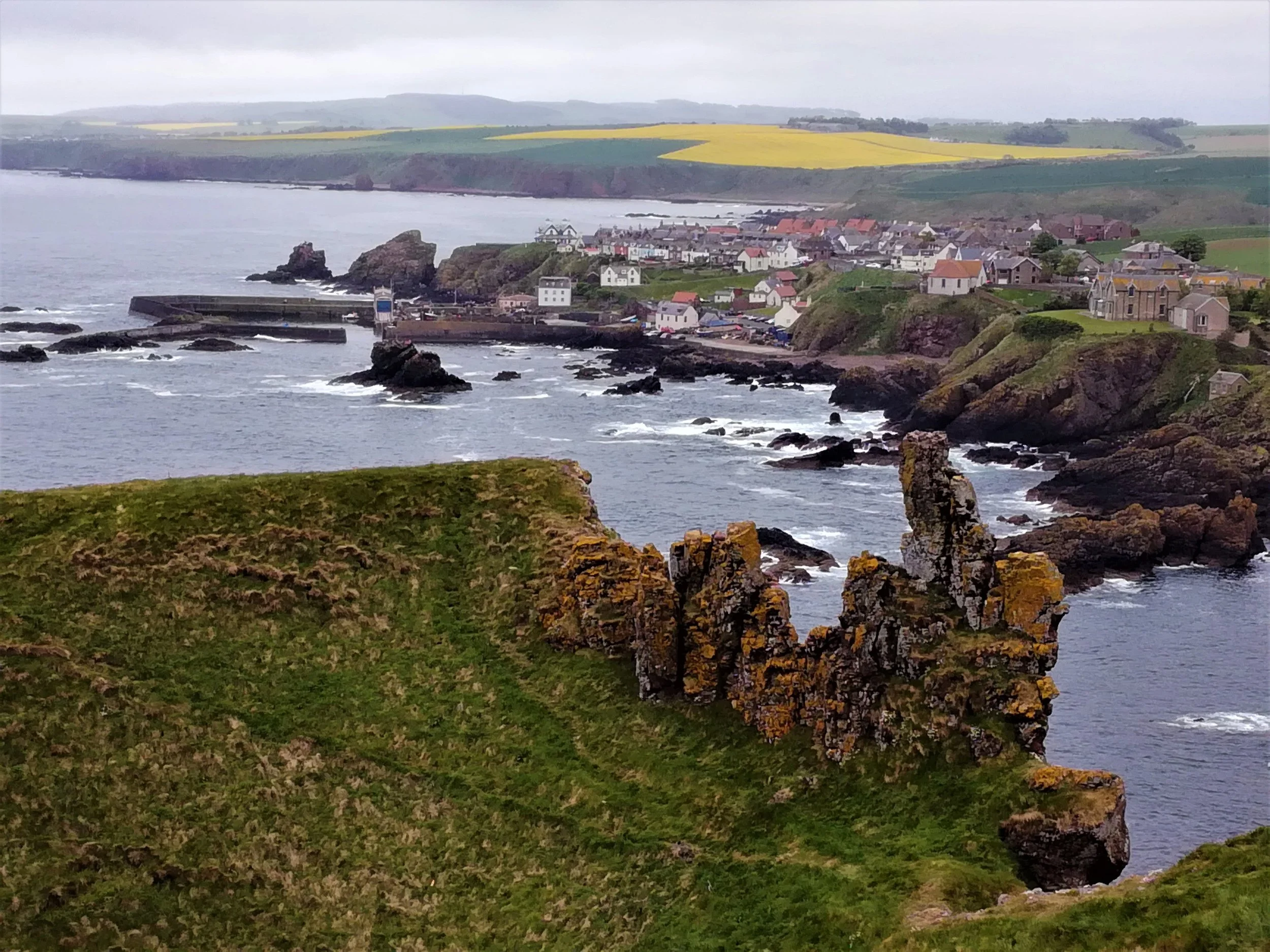 St Abb's Head, Northumbria - Tour & Walk in small groups - Roaming Scotland.jpg