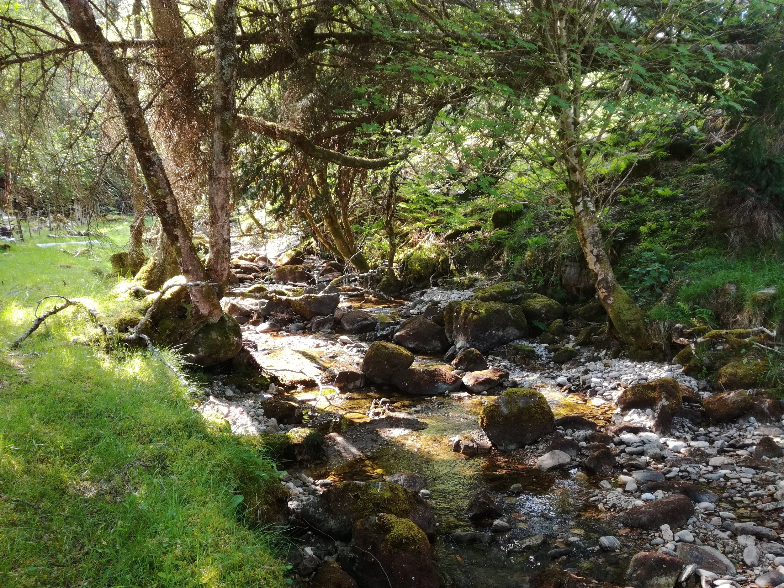 Applecross Hills, Scottish tours with walks, small group adventures, Roaming Scotland.jpg