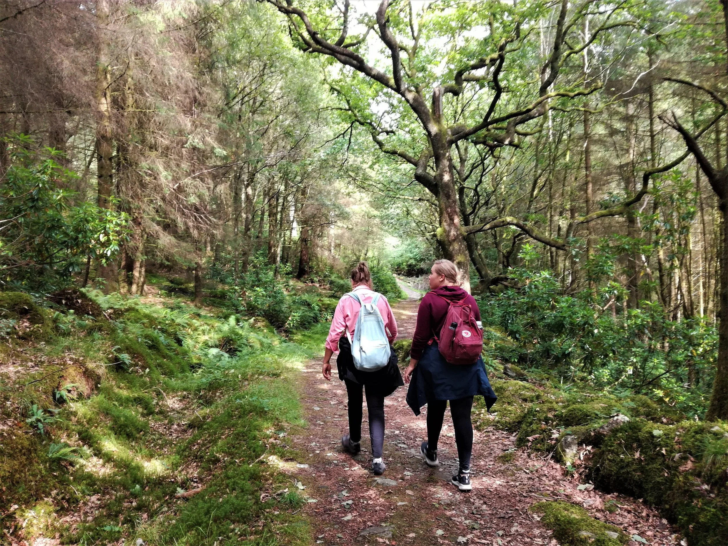 Walk to Bracklinn waterfalls, Callander - Tour & Walk in small groups - Roaming Scotland..jpg