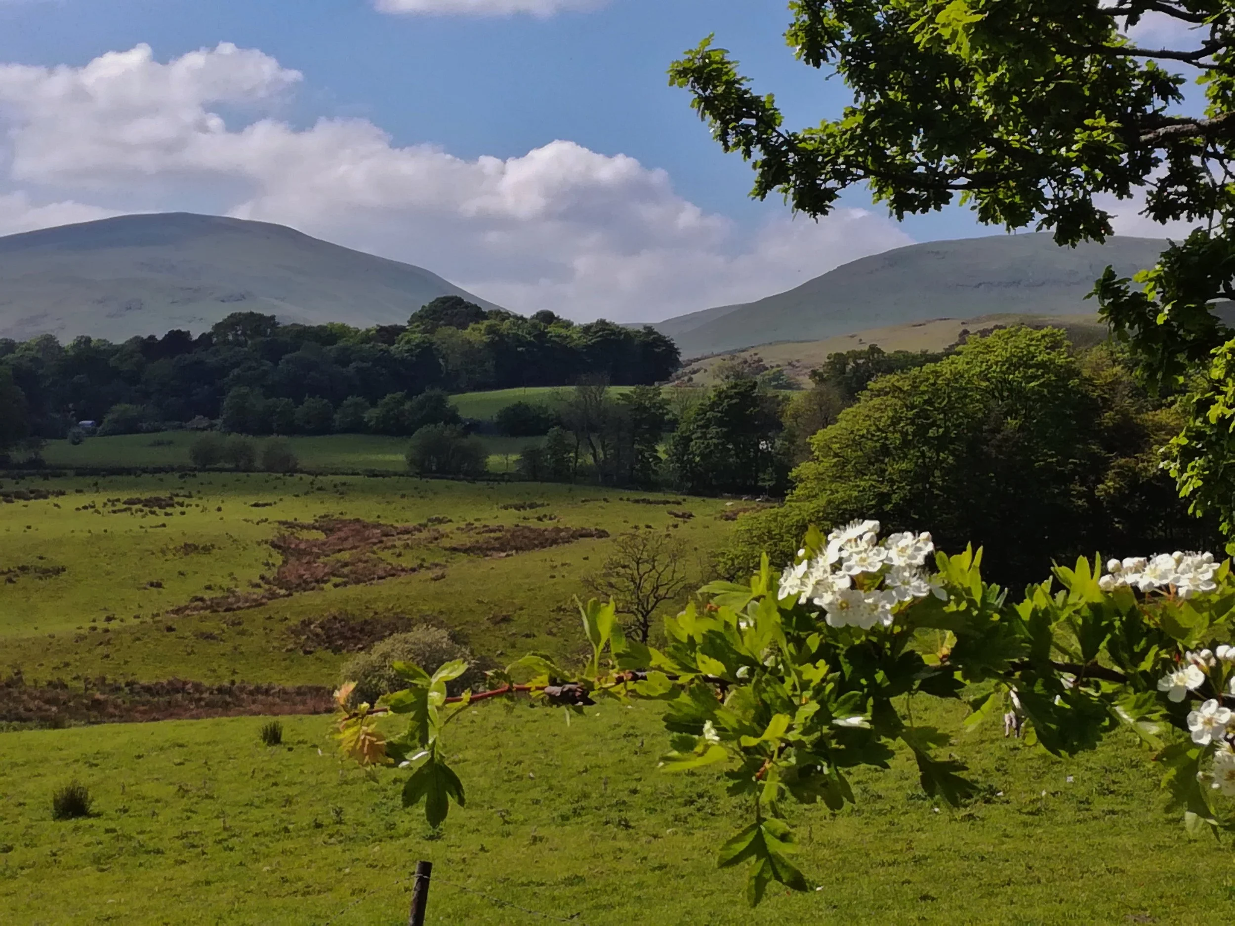 Ochill Hills, Clackmannanshire - Tour & Walk in small groups - Roaming Scotland.jpg