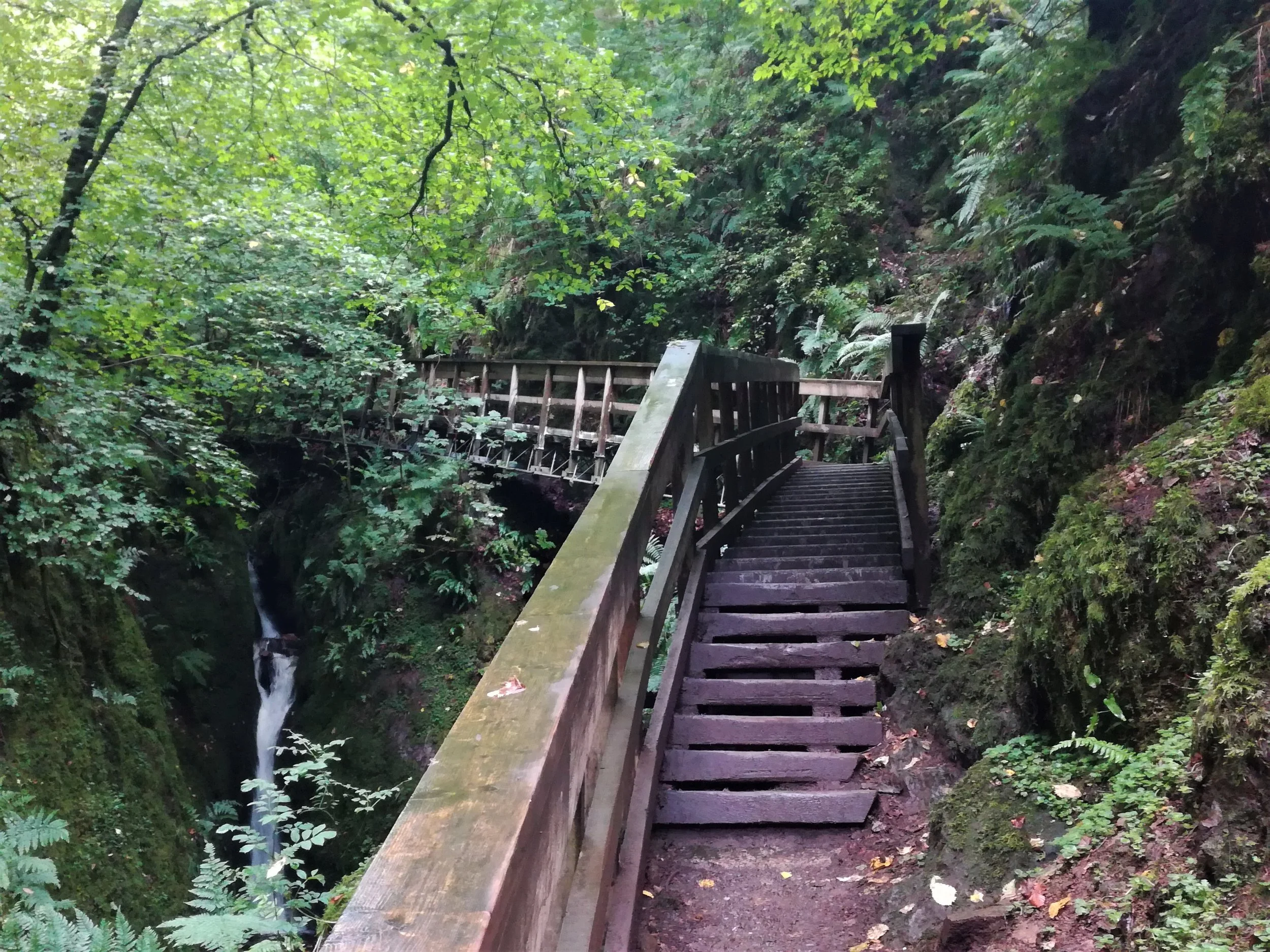 Dollar Glen, Clackmannanshire - Tour & Walk in small groups - Roaming Scotland.jpg.jpg