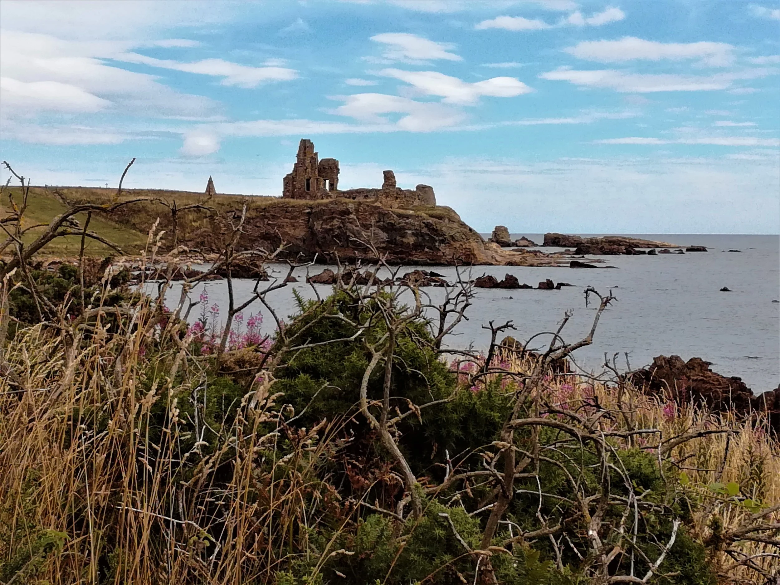 The coast has a lot of history from ruined castles, watchtowers, windmills and a cave used by a Celtic monk, all of which can be closely inspected, led on foot for 90 minutes or more by your own guide.