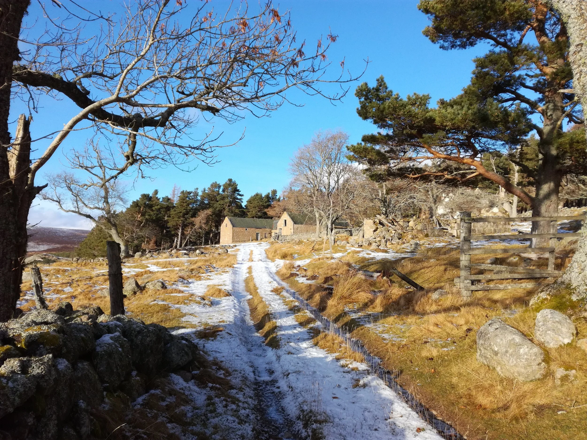Cairngorm Mountains, Braemar - Tour & Walk in small groups - Roaming Scotland..jpg