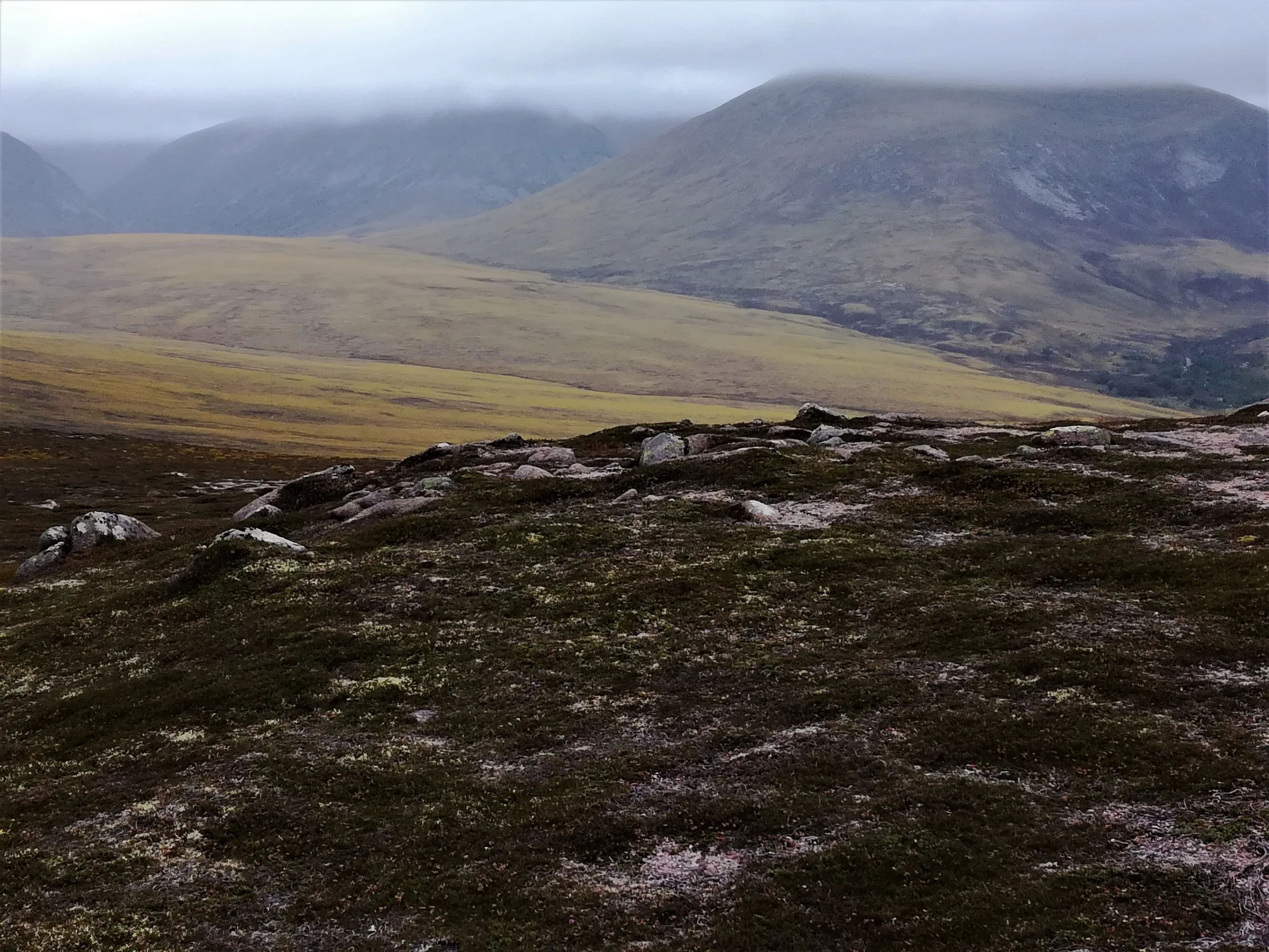 Cairngorm Mountains, Braemar - Tour & Walk in small groups - Roaming Scotland..jpg