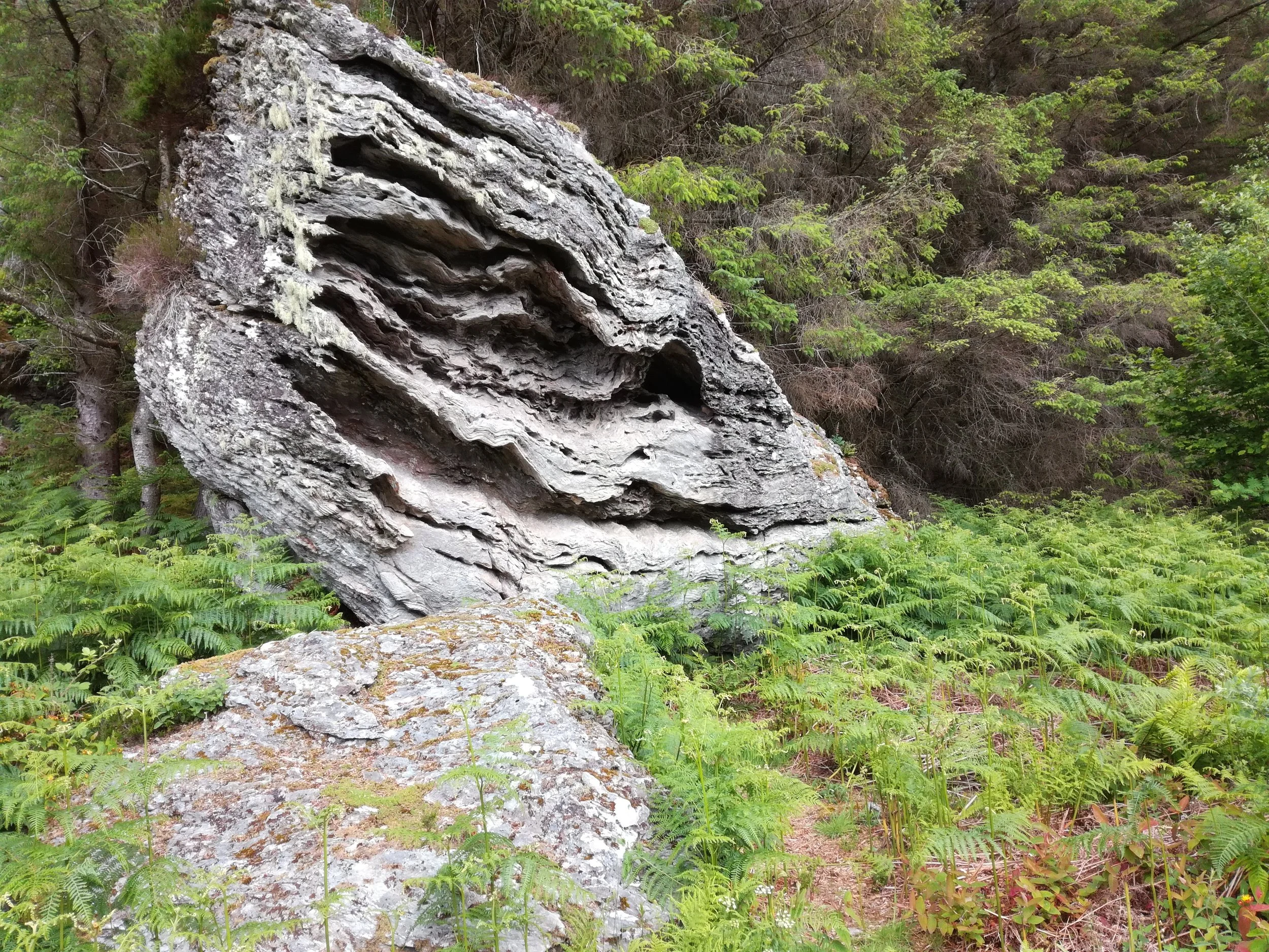 Kintyre coast - Tour & Walk in small groups - Roaming Scotland..jpg