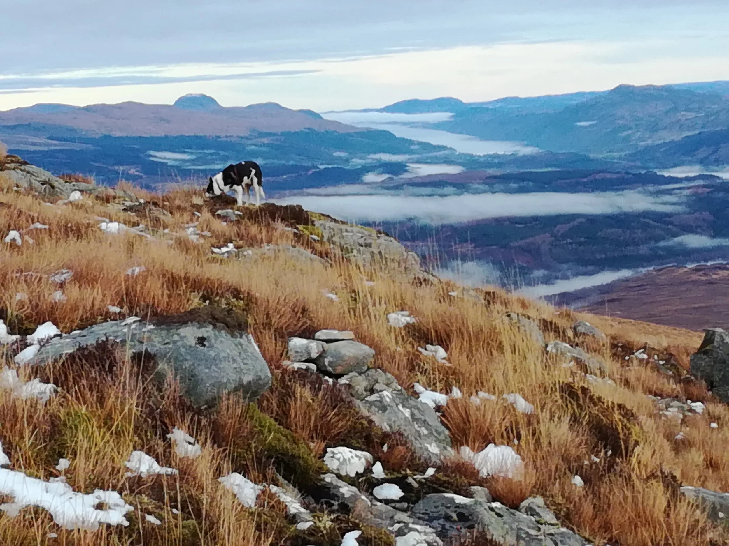 Looking to Loch Ness under a blanket of ground fog