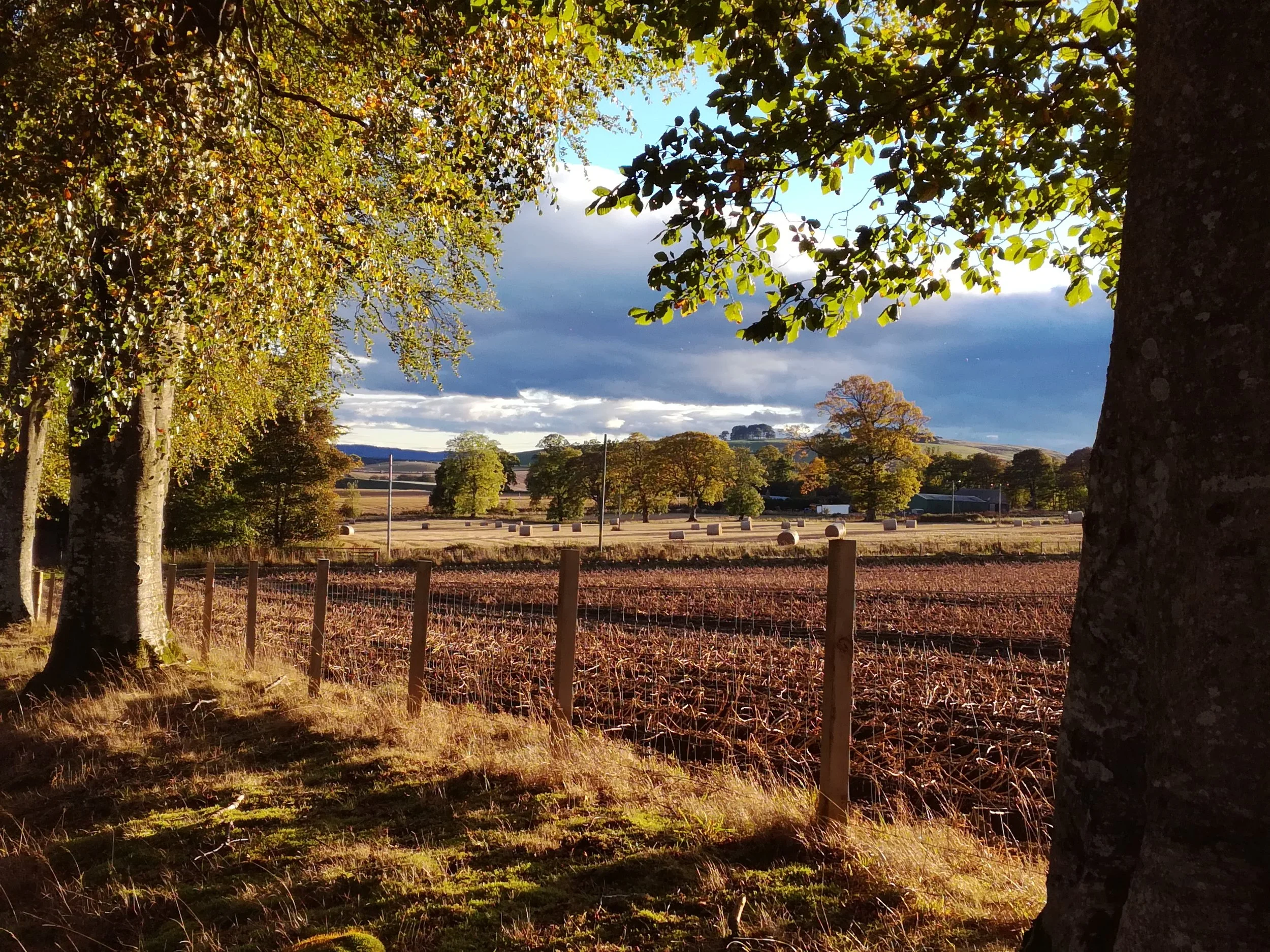 Autumn fields, Tour & Walk Scotland in small group adventures - Roaming Scotland.jpg.