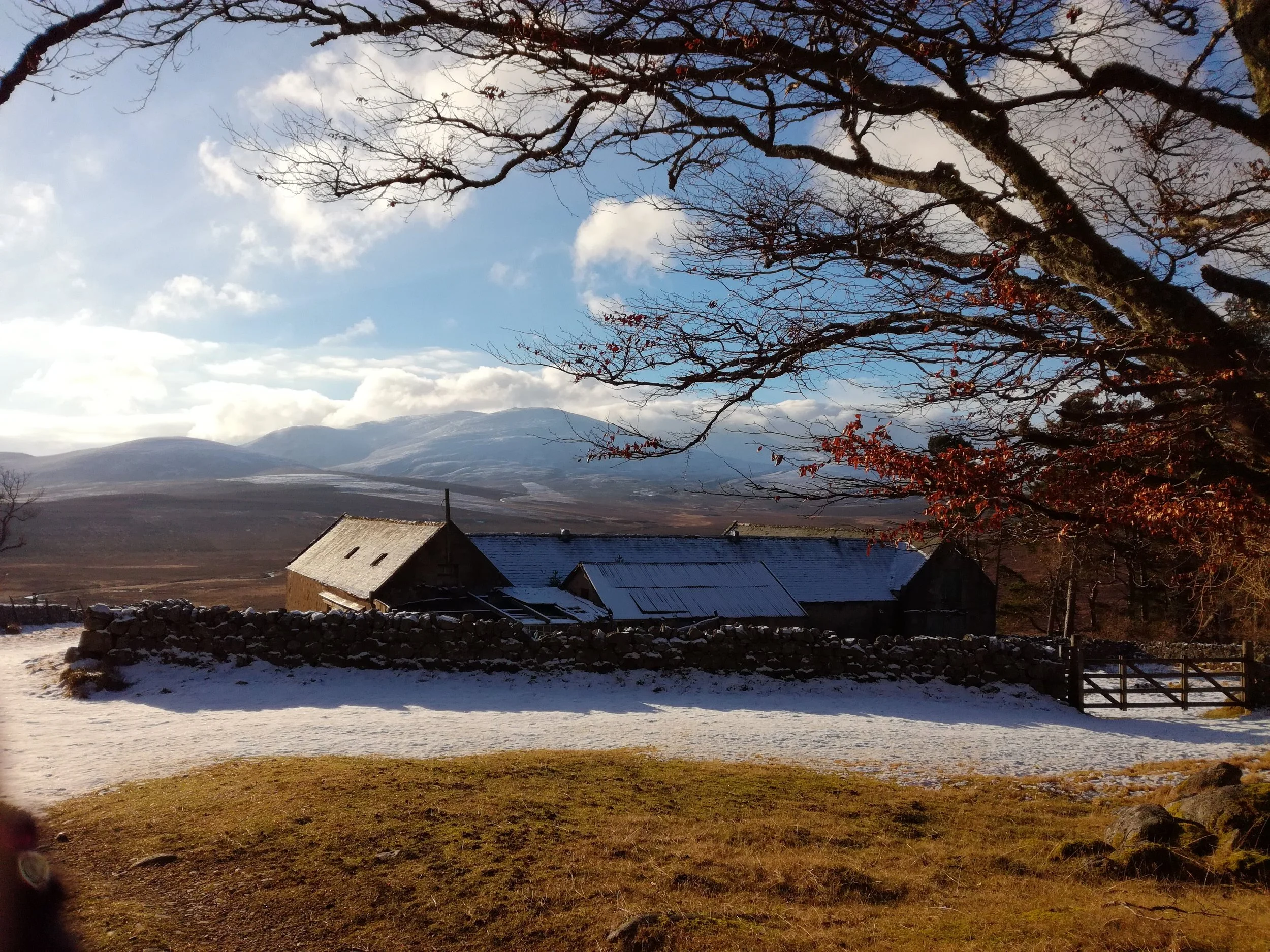 Cairngorms, Tour & Walk Scotland in small group adventures - Roaming Scotland.jpg