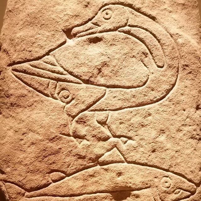 This goose image, incised onto a stone slab by our Pictish forebears in the 6-7th century, is our logo for our Tour and Trek company, Roaming Scotland. Wild geese are synonymous with the Scottish wilds as they passage migration routes. Their defining
