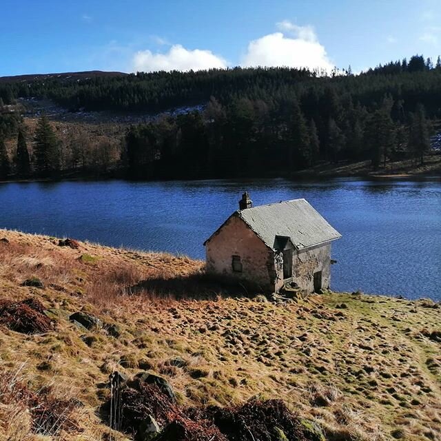 A reprieve of calm in the hills of Angus between storms. The sunshine has made the faded colours of February amazingly vivid #roaming_scotland #roamingscotland #simplyscotland #johnmuir #visitscotland #ecosse #scozia #schottland #scotlandhighlands #s