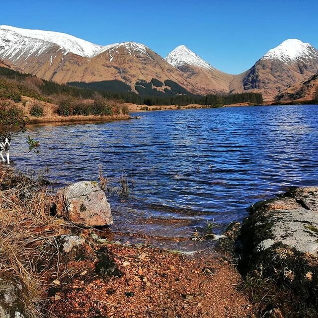 Glen Etive is always a favourite of mine. This is Lochan Urr that I had all to myself this lovely day in March #roaming_scotland #roamingscotland #simplyscotland #visitscotland #scotland #scotland_ig #scotlandhighlands #scotlandhiking #scottishcollec
