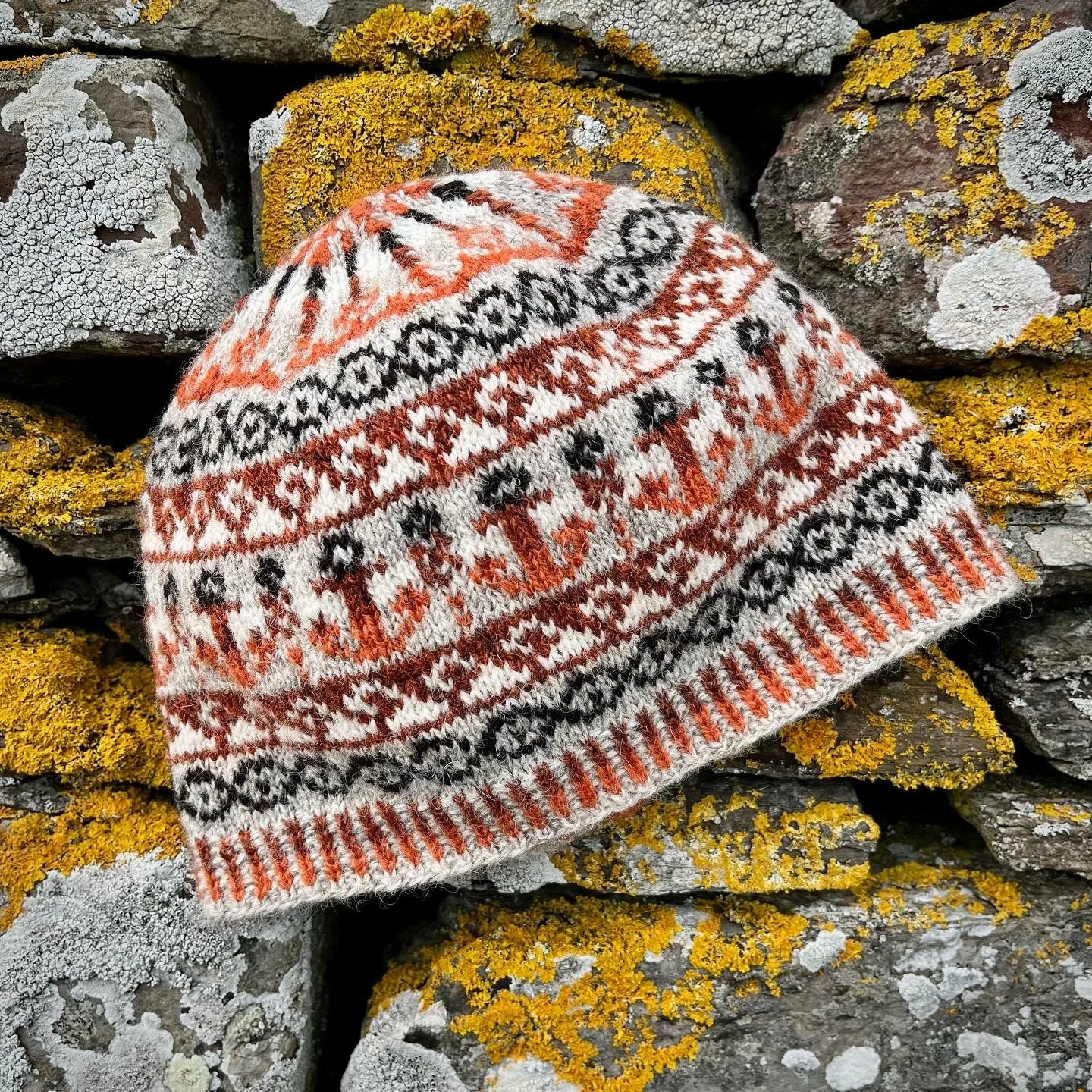 Wool and Walk