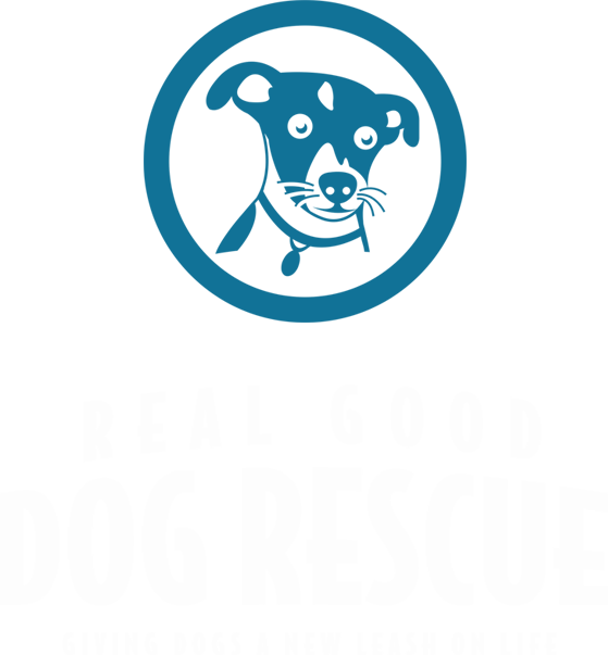 good dog rescue