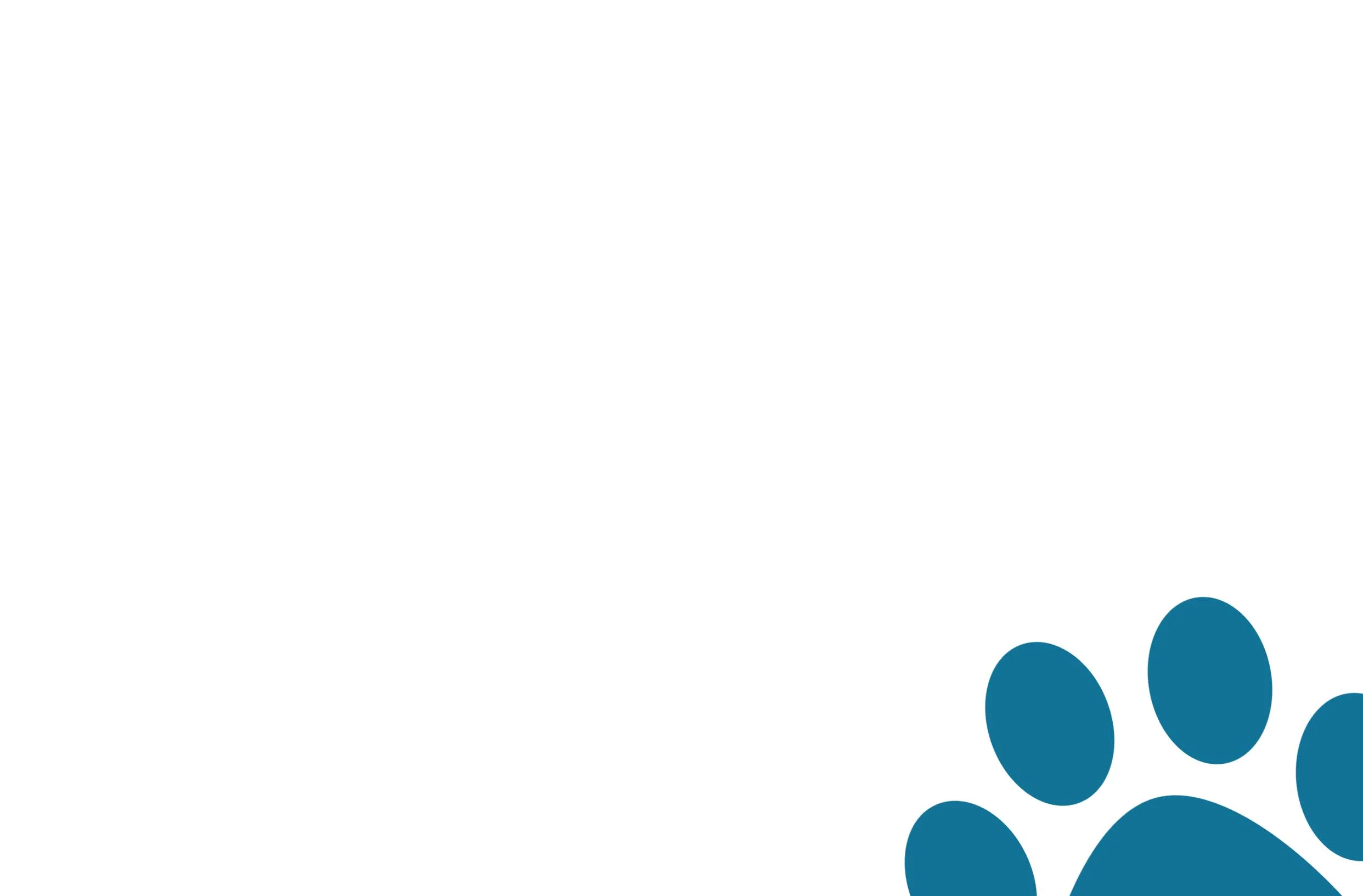 background3.jpg