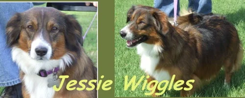 JessieWiggles.jpg