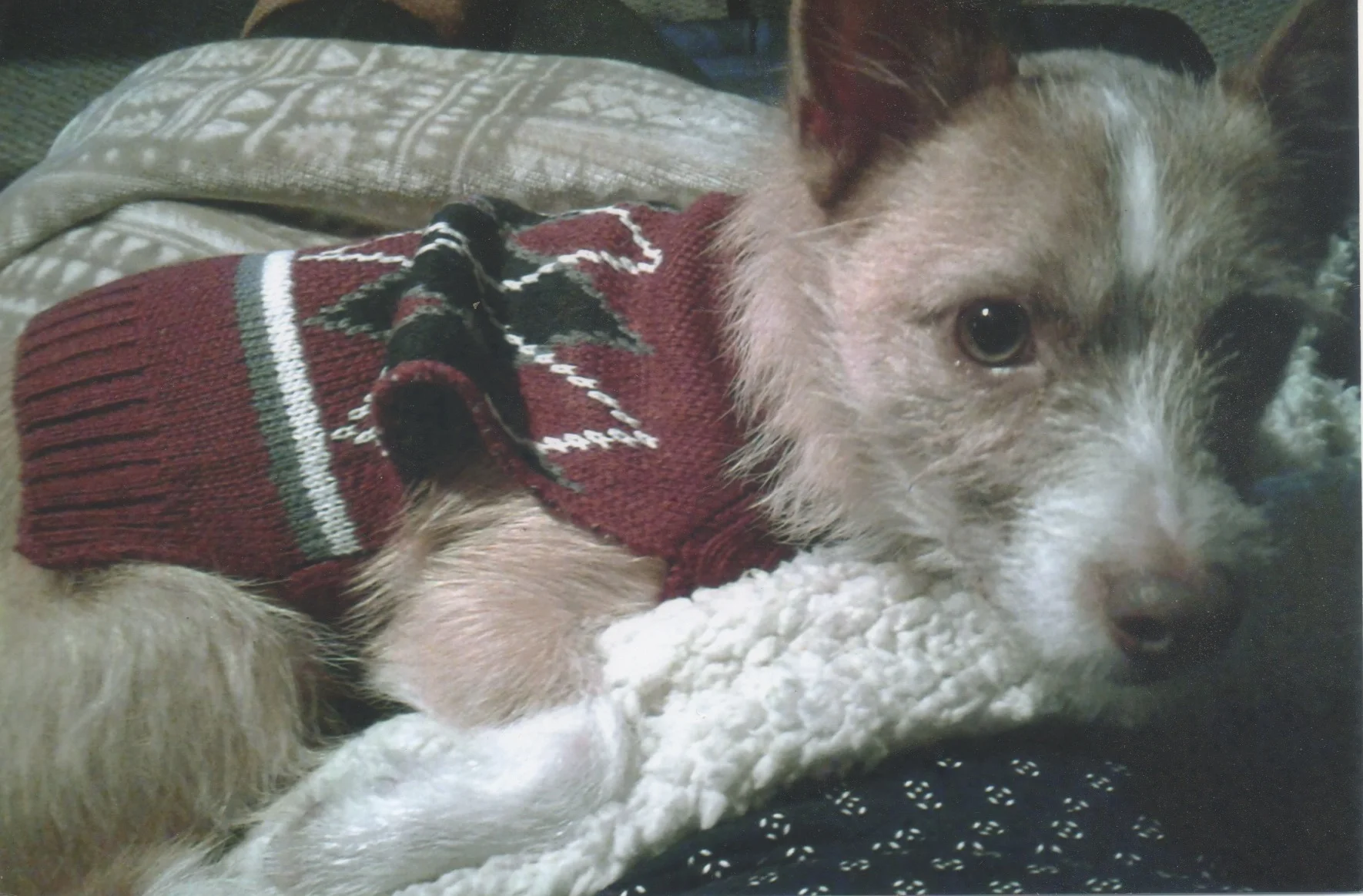 We stopped in for a muffin....