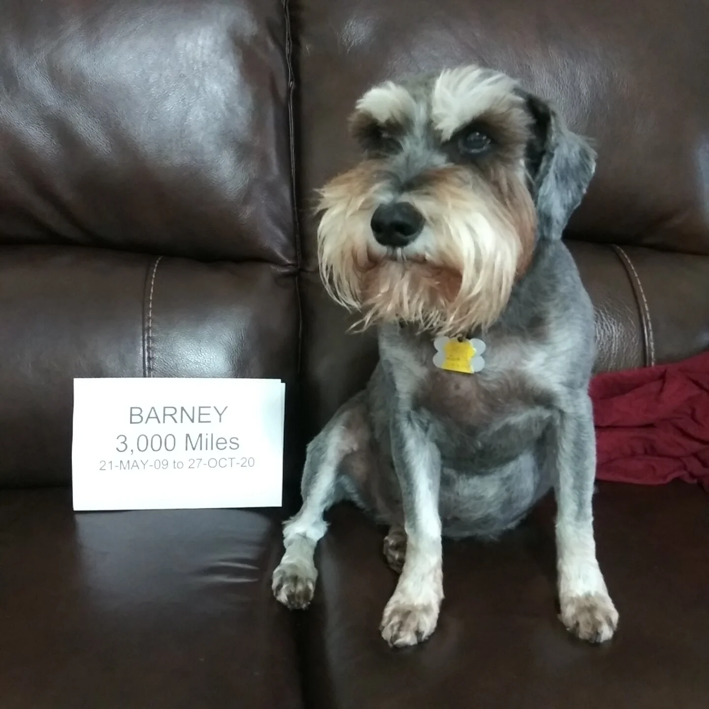 Barney Logs 3,000 Miles Walking