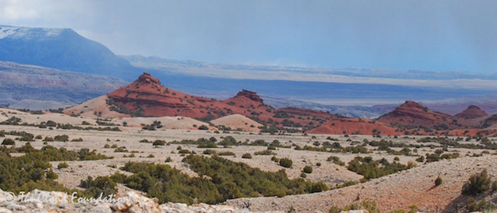 The Never Ending Winter