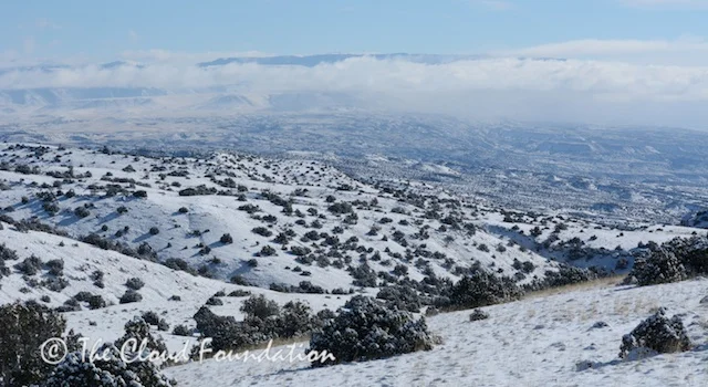 Prisoners of the Polar Vortex