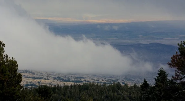 The Fillies of Autumn