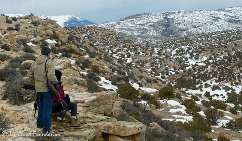 Snow, Mud, and the Search for Cloud: A Pryor Mountain Adventure