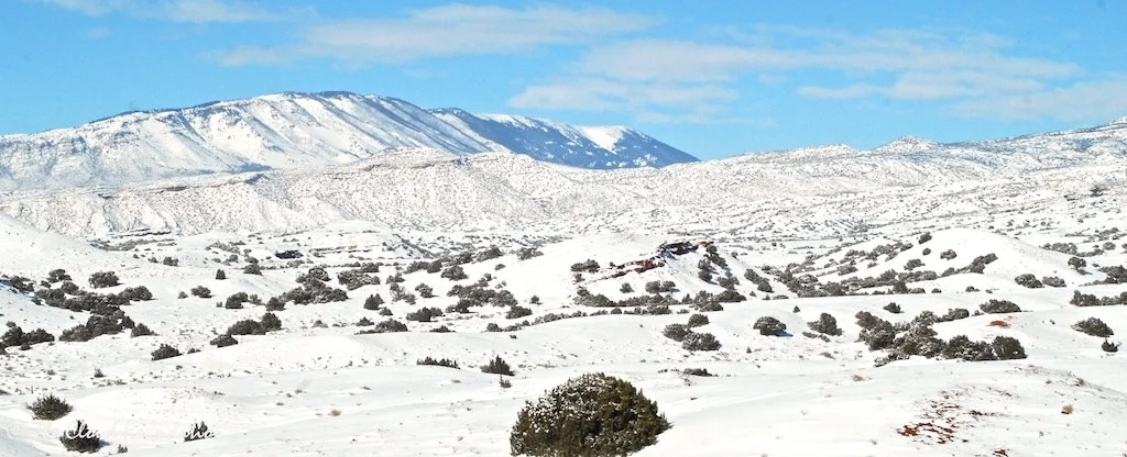 White on White: A Pryor Mountain Adventure