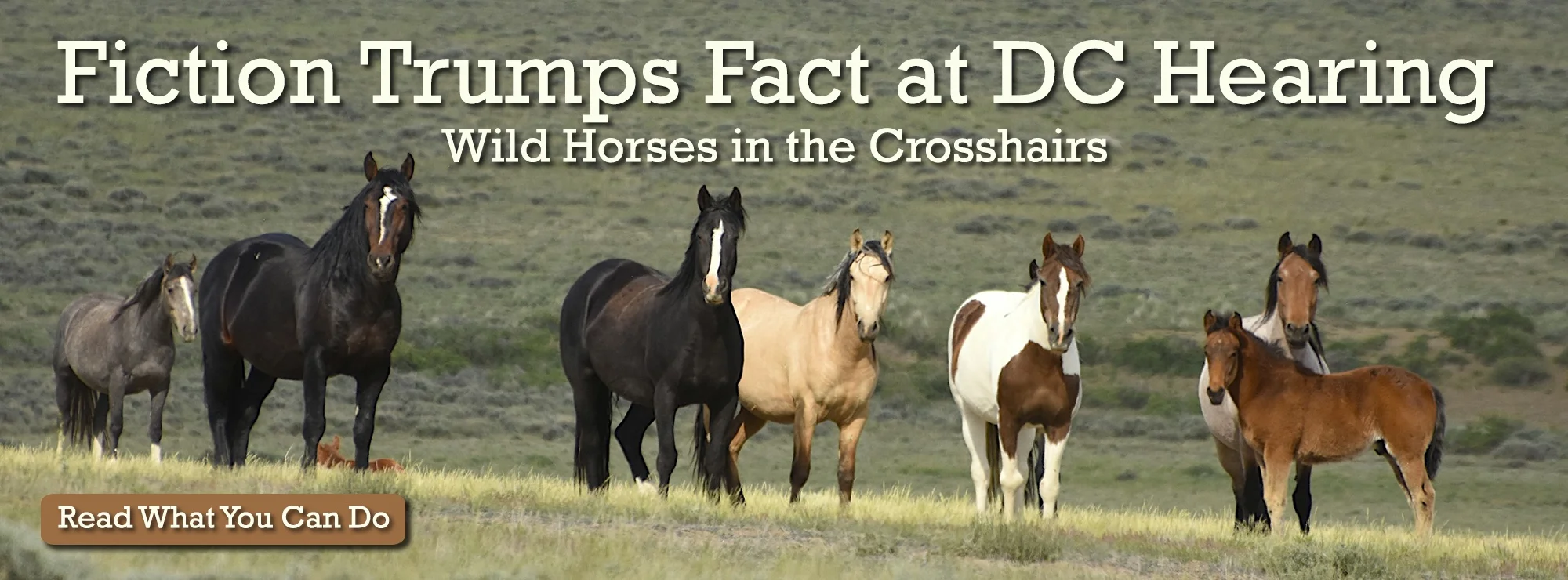 Fiction Trumps Fact at DC Hearing