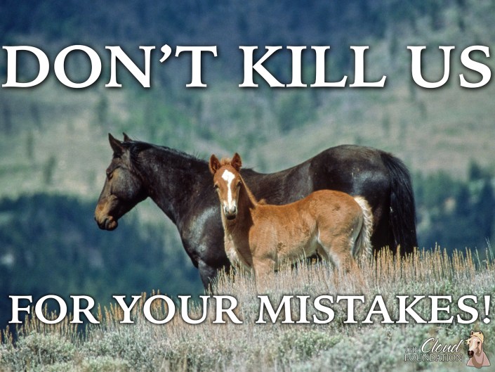 Ginger Kathrens' Salt Lake City "Slaughter Summit" Protest Speech