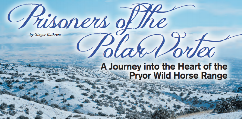 Natural Horse Magazine: Polar Vortex