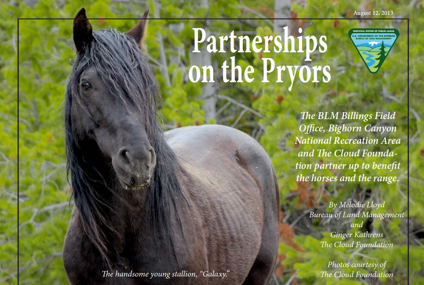 Partnerships on the Pryors