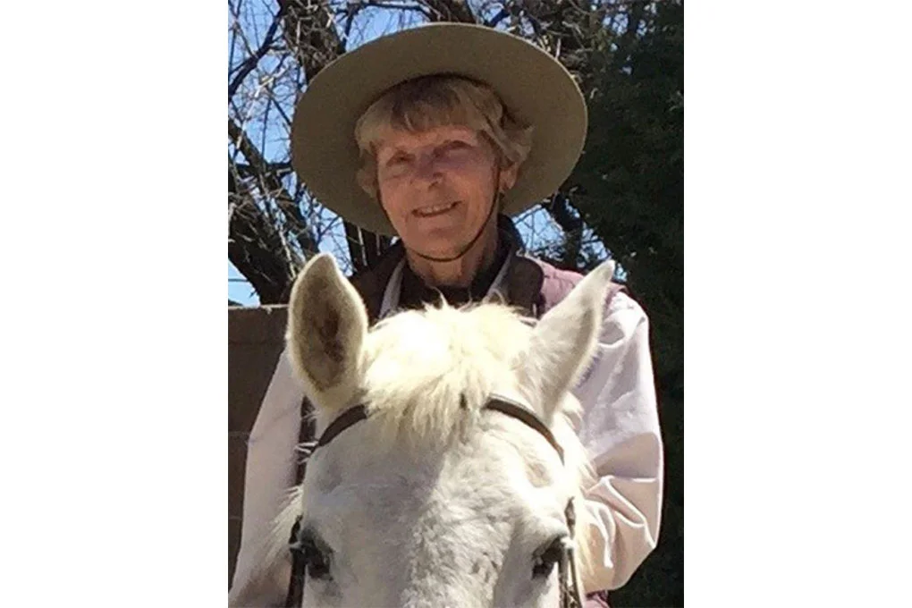 Scheme to kill Nevada's wild horses built on greed: Opinion