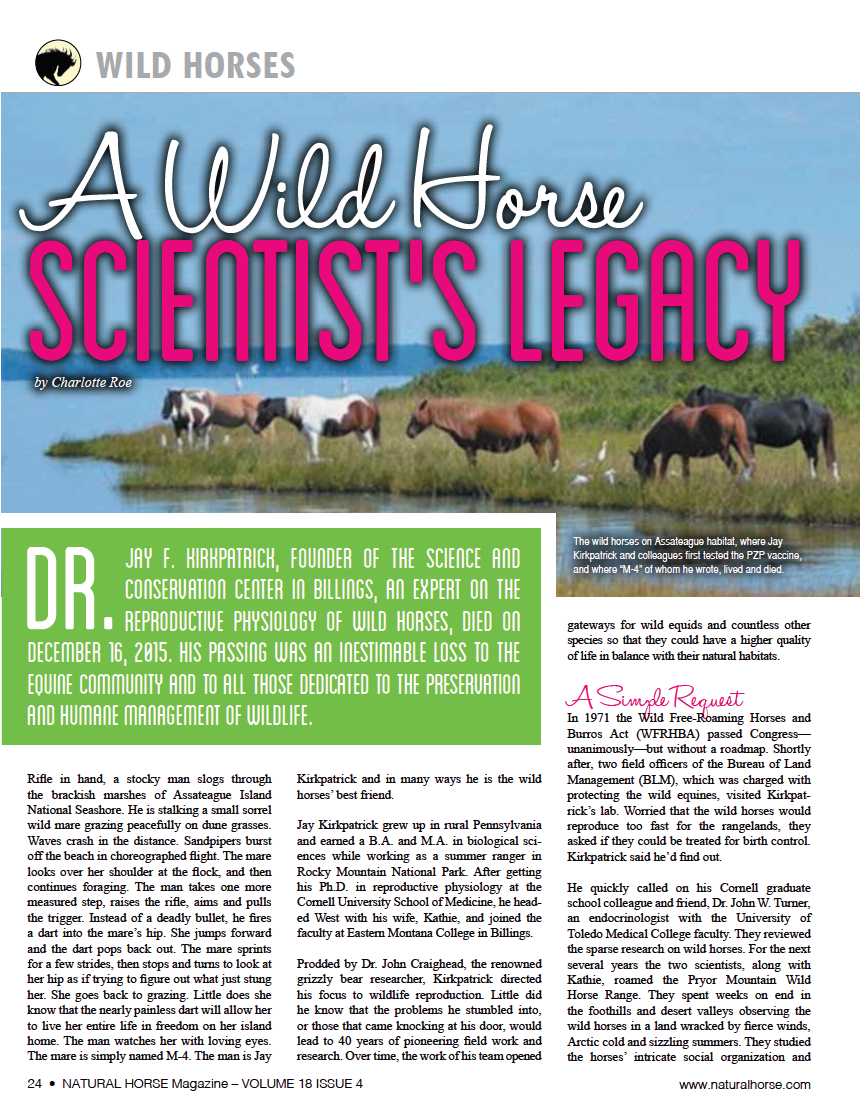 A Wild Horse Scientist's Legacy — The Cloud Foundation