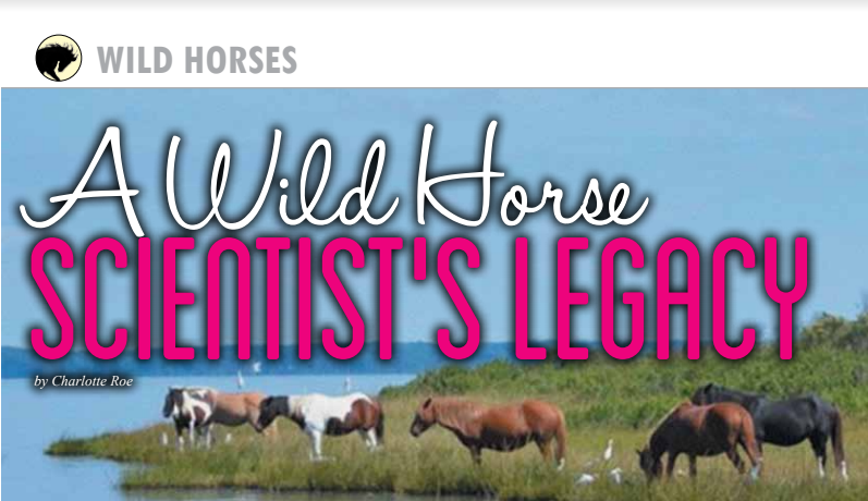 A Wild Horse Scientist's Legacy