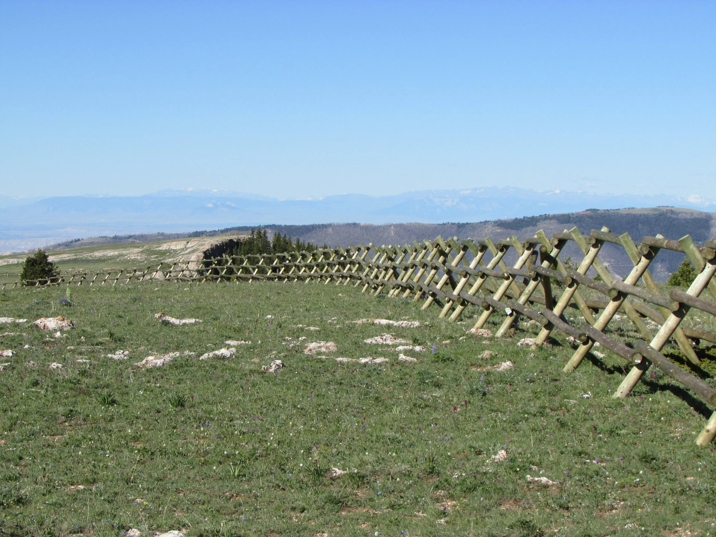 Pryor Mountain Lawsuit