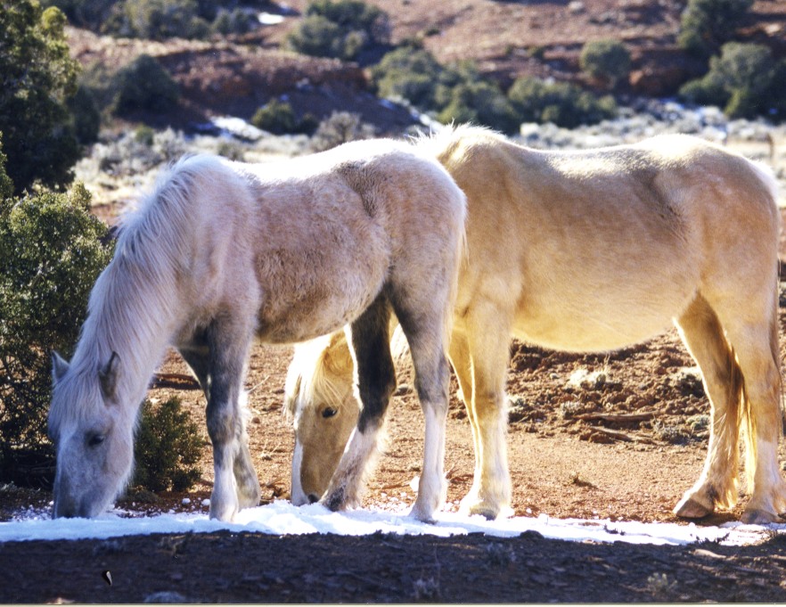 Phoenix and Mariah, Winter 1998-1999