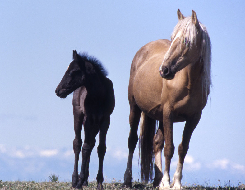 Galena and her mother, Mariah. July 13, 2006