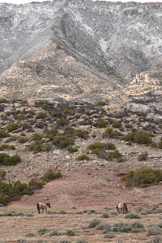 Strawberry and Cascade, with snowy Sykes Ridge in the background