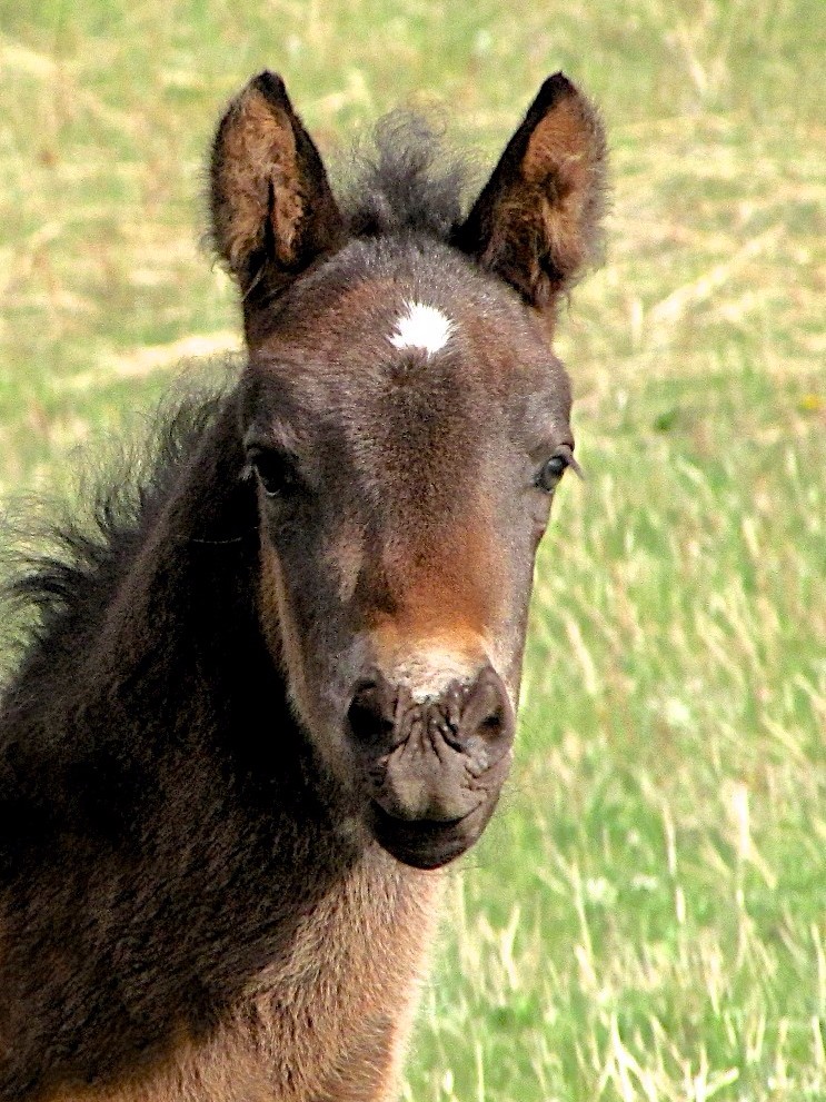 Month-old Diego