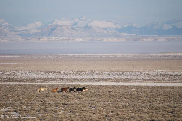 TCF_DivideBasin2013-19.jpg