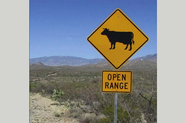 Cost of grazing.jpg