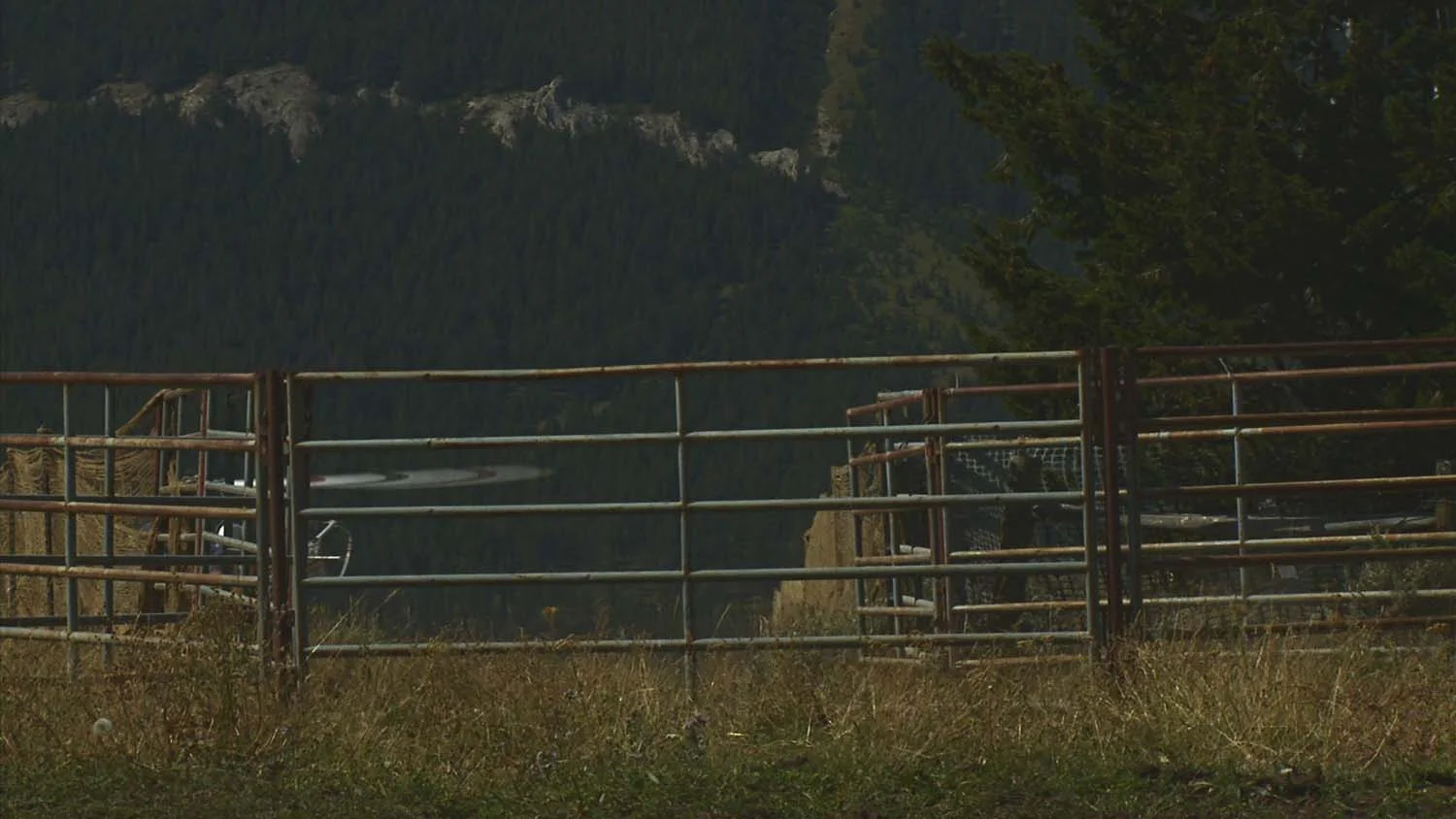 Get Involved Still.jpg