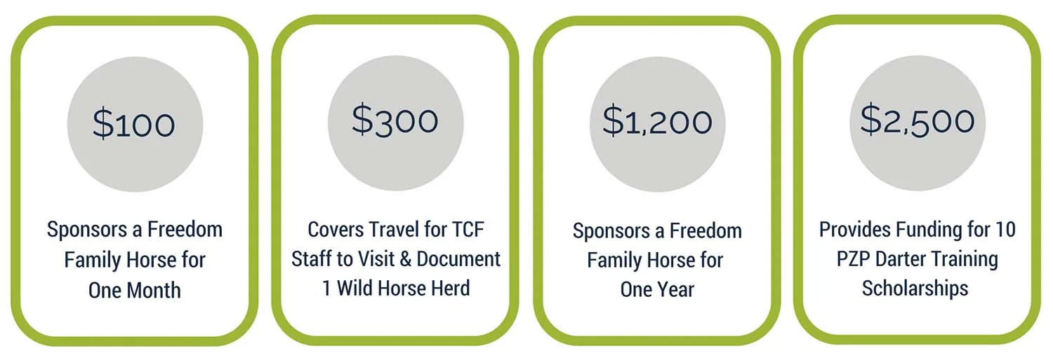 Fundraising Graphic.jpg