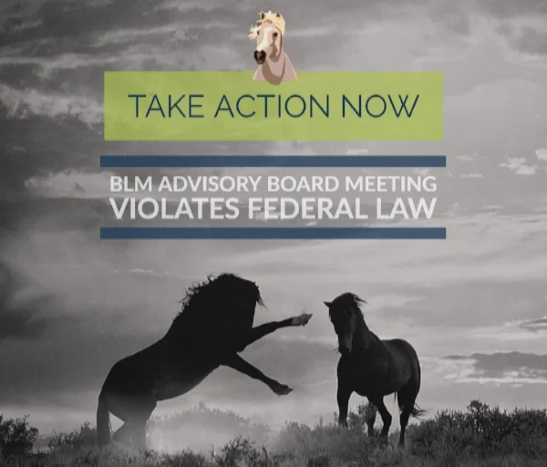 BLM Advisory Board Meeting Violates Federal Law