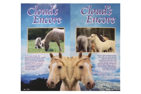 Cloud's Encore box info.jpg