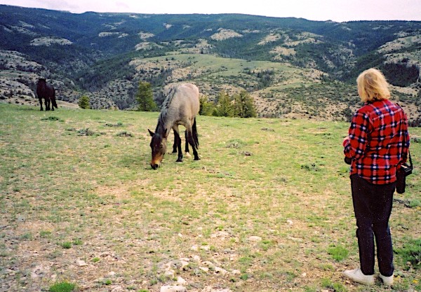 Mateo, Cassidy, and Hope, 6.2005