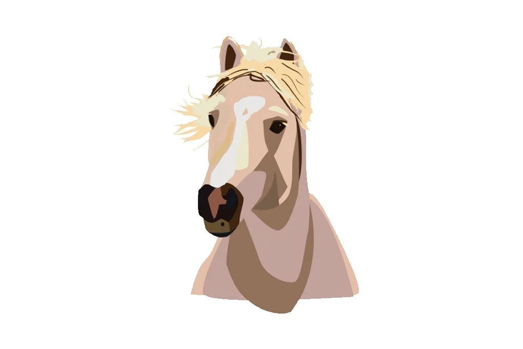 THE ATLANTIC: On Wyoming's Range, Water Is Scarce but Welfare Is Plenty