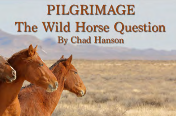 PILGRIMAGE: The Wild Horse Question