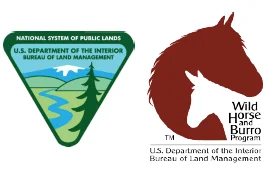 BLM Releases Management Plan To Decimate Wild Horse & Burro herds
